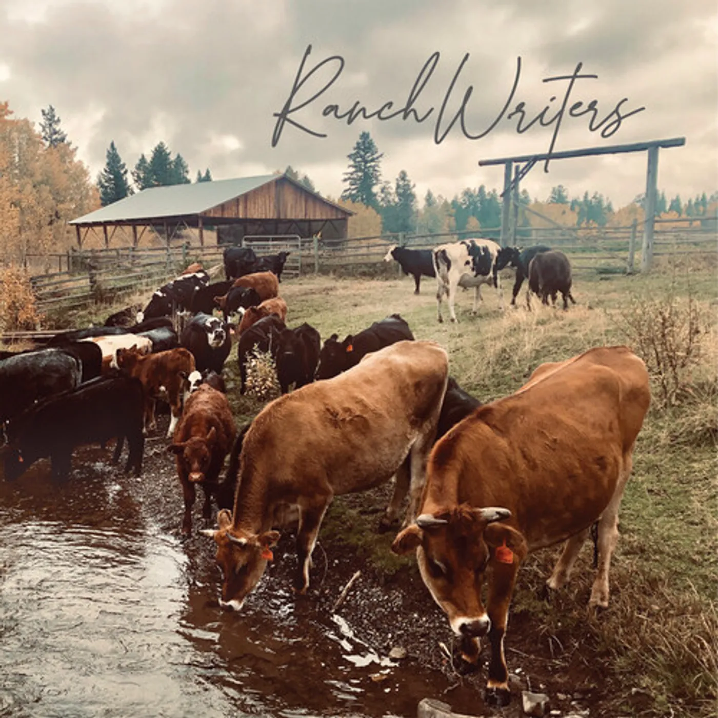 RANCHWRITERS CD