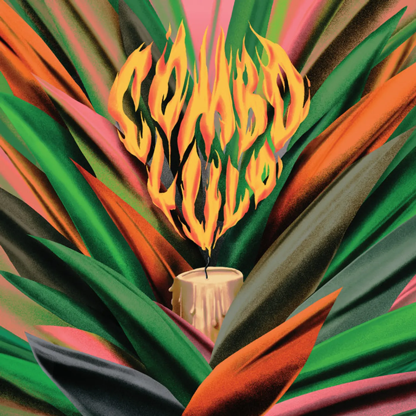 Combo Lulo Neotropic Dream Vinyl Record