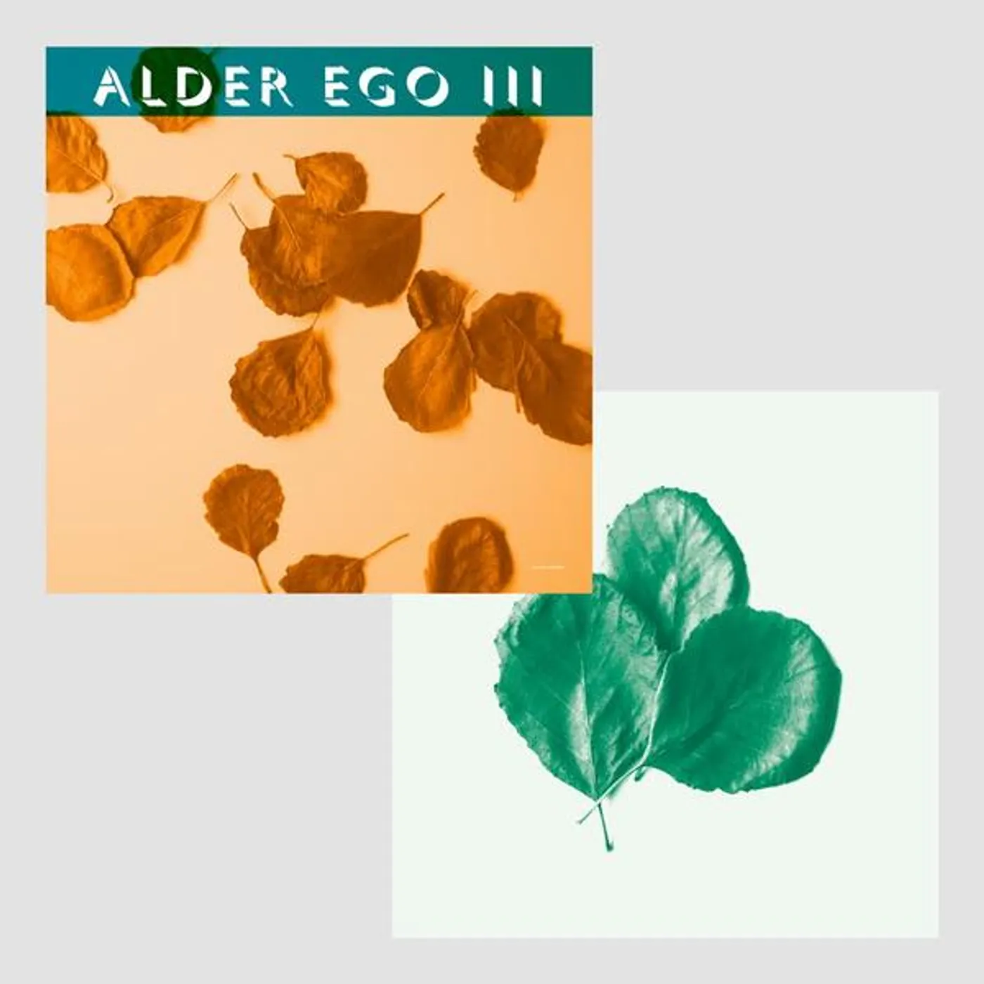 Alder Ego III + II Vinyl Record
