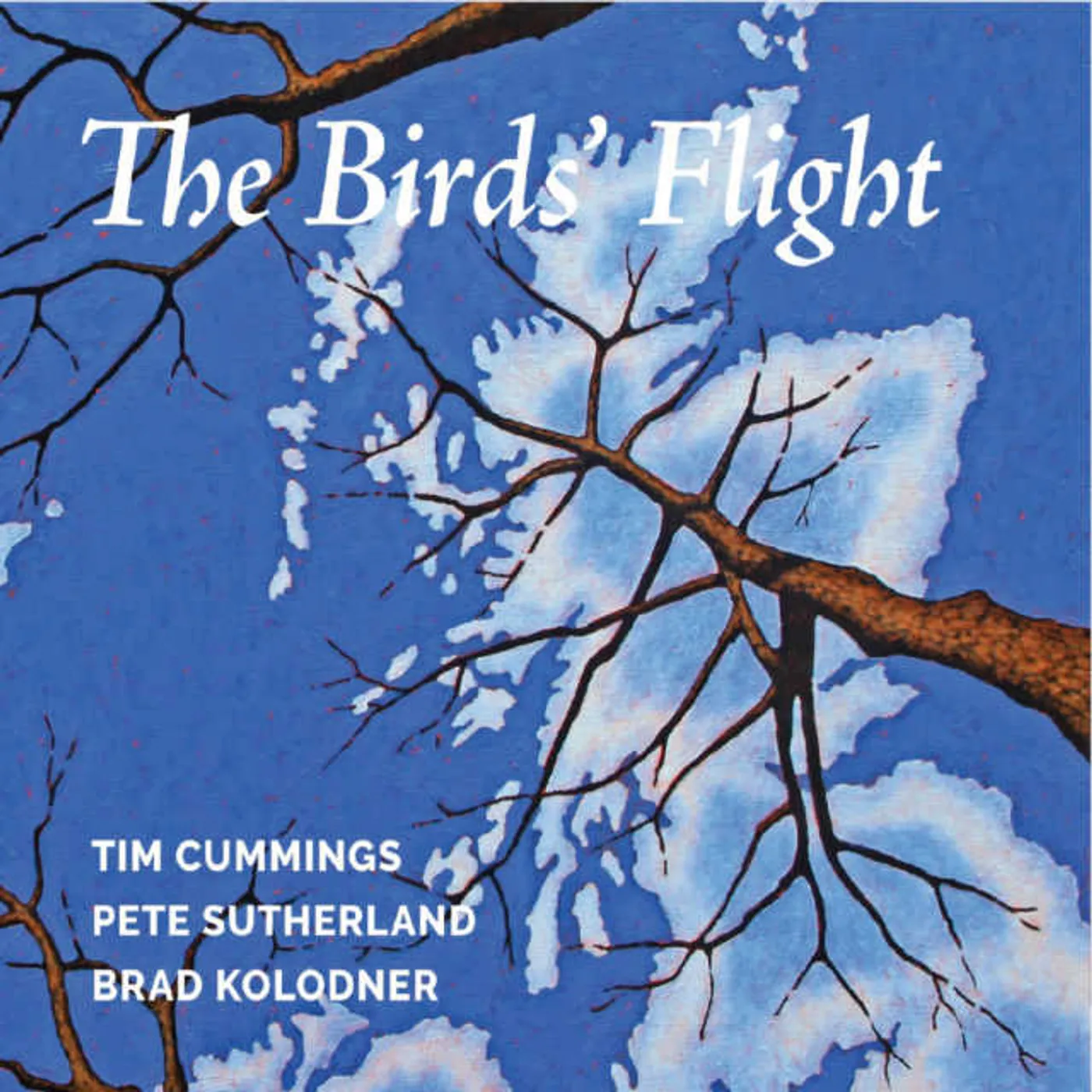 Timothy Cummings BIRDS' FLIGHT CD
