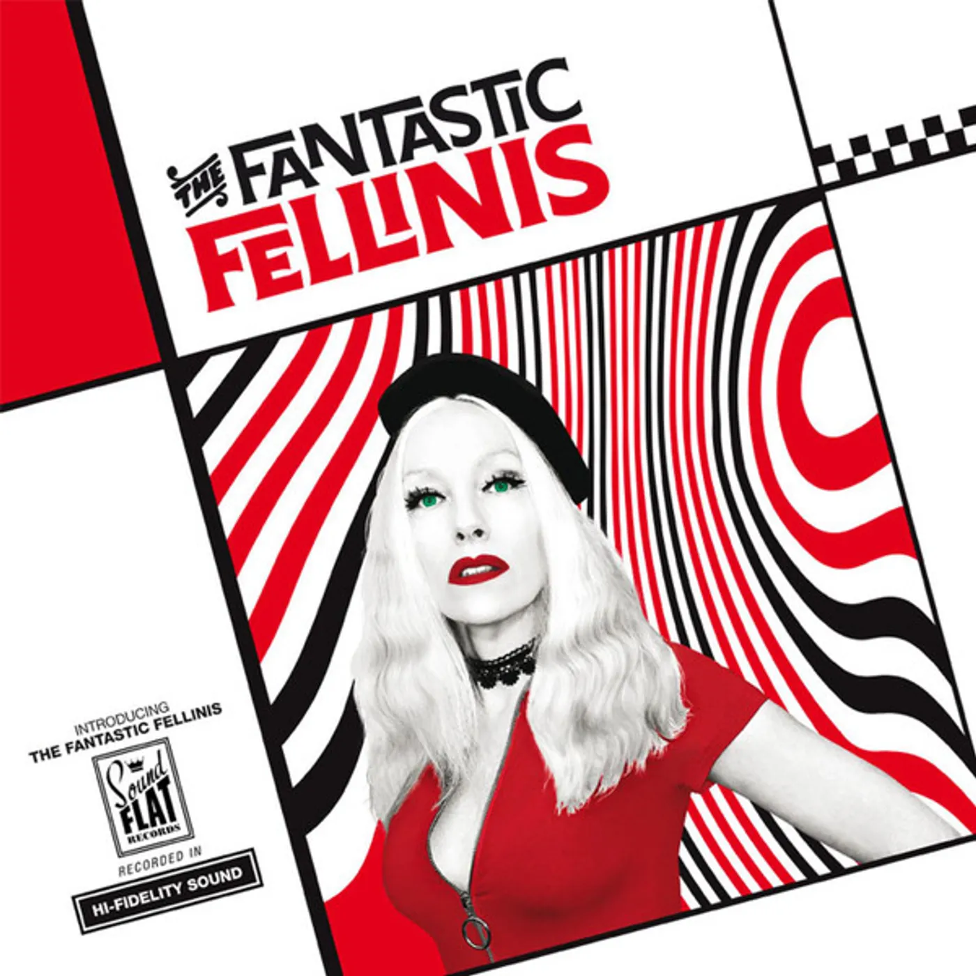 INTRODUCING THE FANTASTIC FELLINIS Vinyl Record