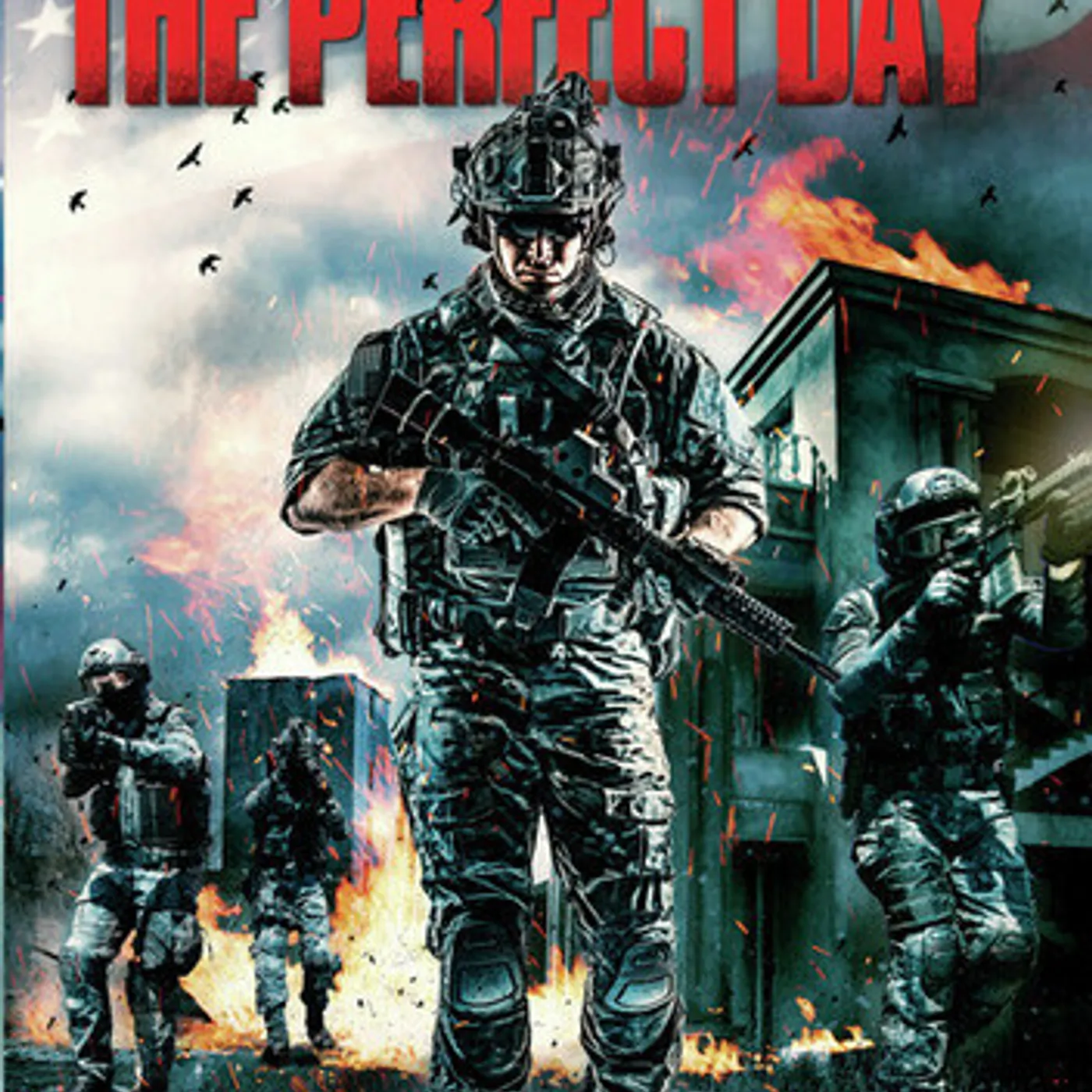 PERFECT DAY DVD