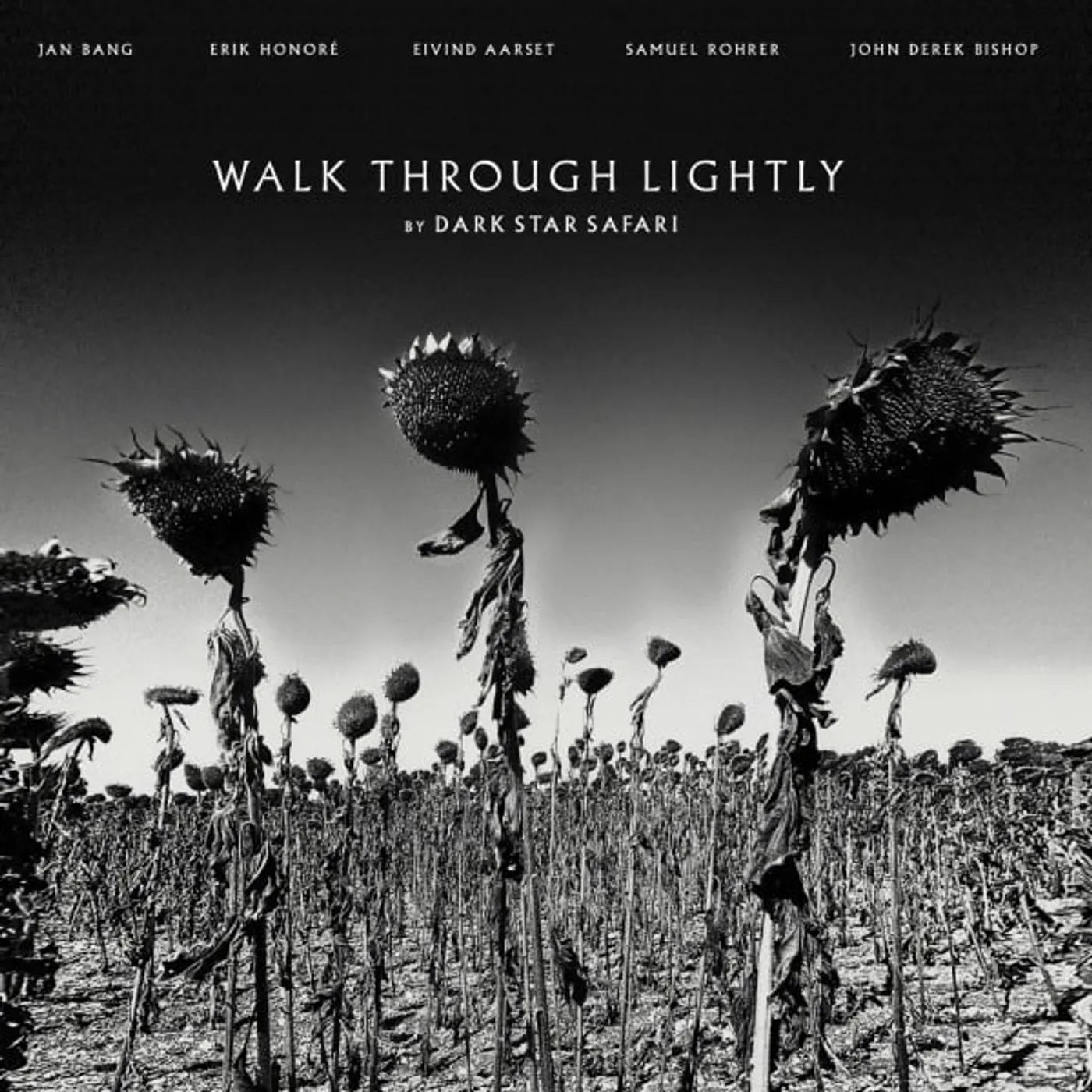 Dark Star Safari Walk Through Lightly Vinyl Record