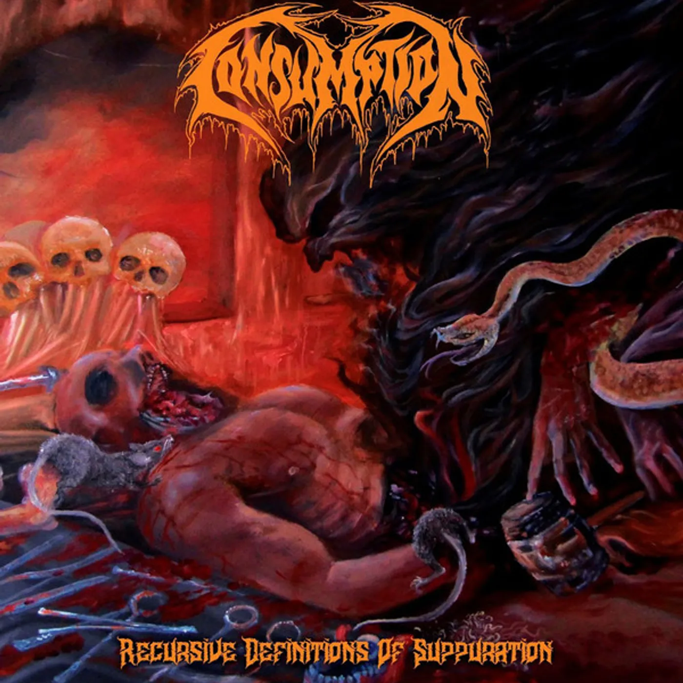 Consumption Recursive Definitions of Suppuration Vinyl Record
