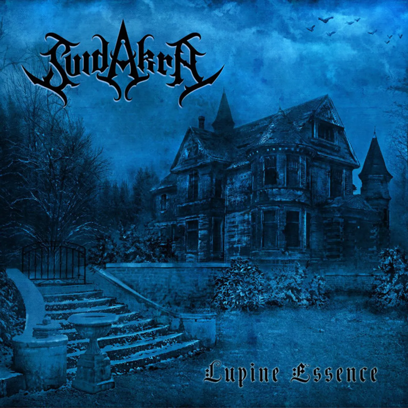 SuidAkrA LUPINE ESSENCE CD
