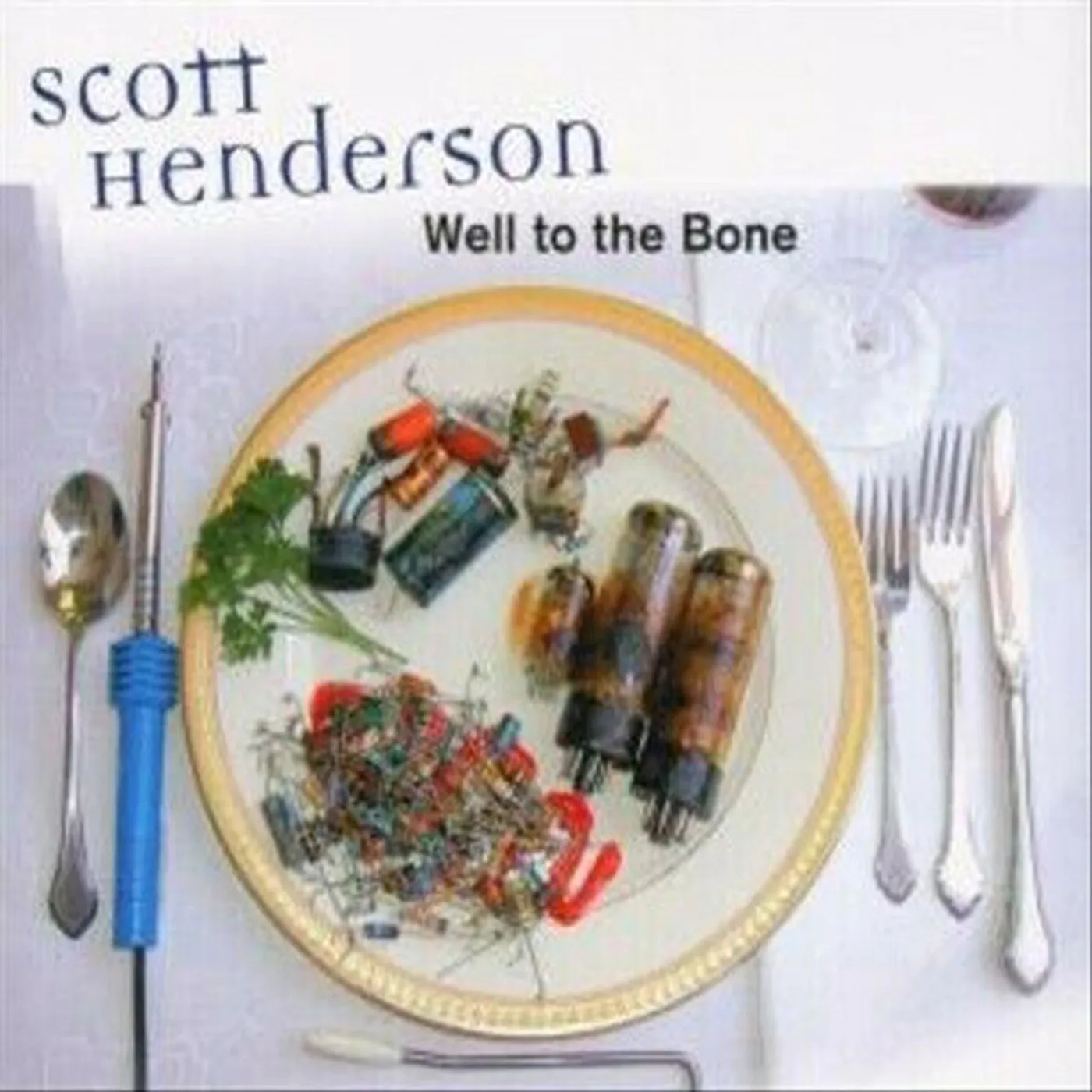 Scott Henderson WELL TO THE BONE CD
