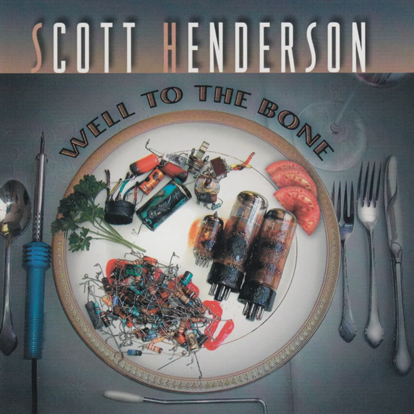 Scott Henderson WELL TO THE BONE CD
