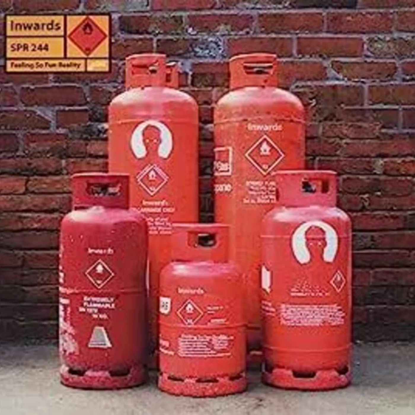 Inwards FEELING SO FUN REALITY CD