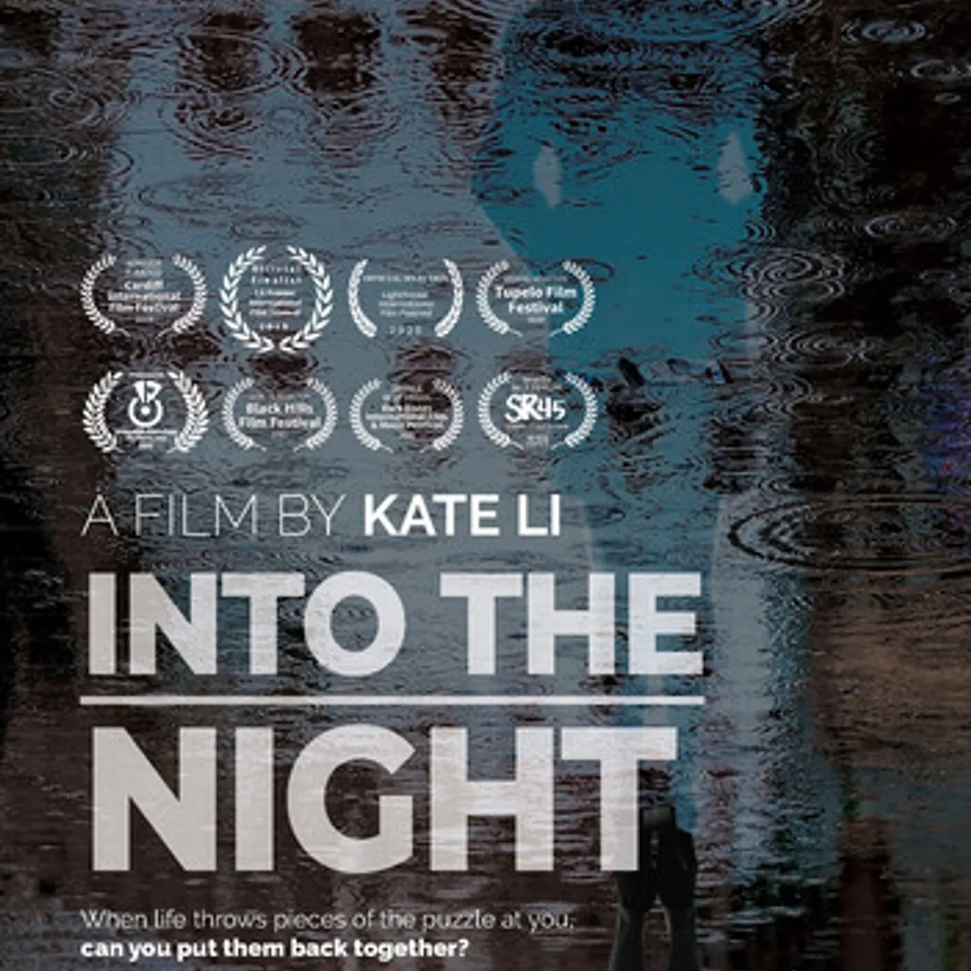 INTO THE NIGHT DVD