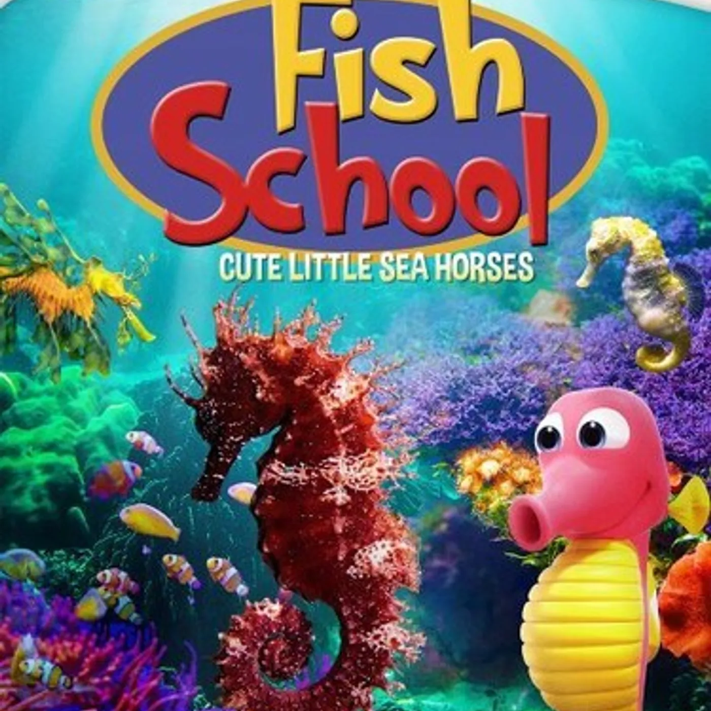 FISH SCHOOL: CUTE LITTLE SEA HORSES DVD
