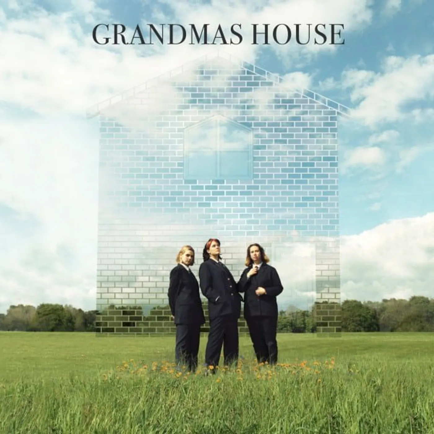 Grandmas House Vinyl Record