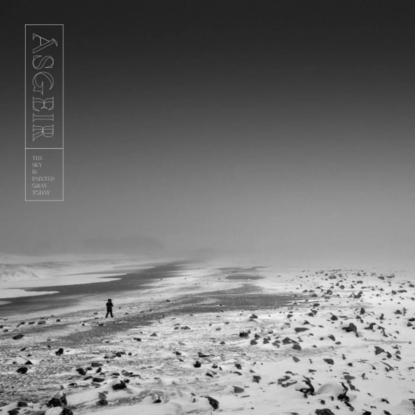 Ásgeir SKY IS PAINTED GRAY TODAY Vinyl Record