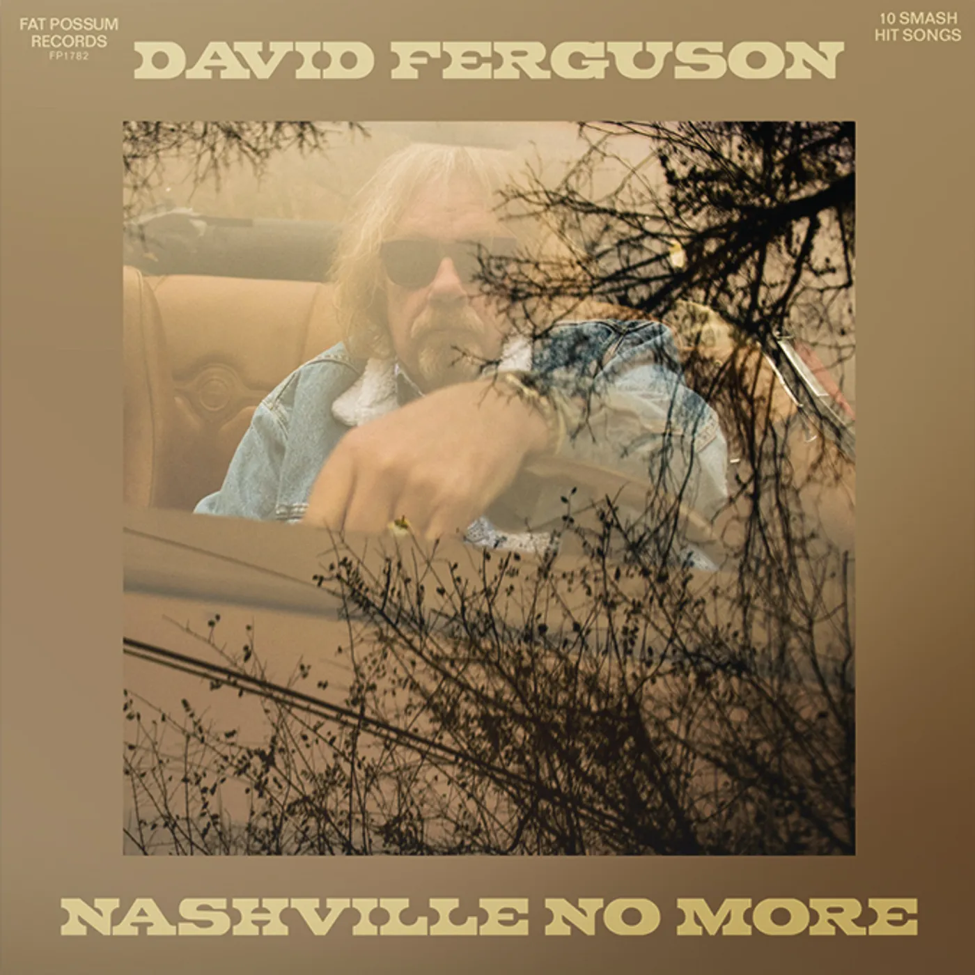 David Ferguson Nashville No More Vinyl Record
