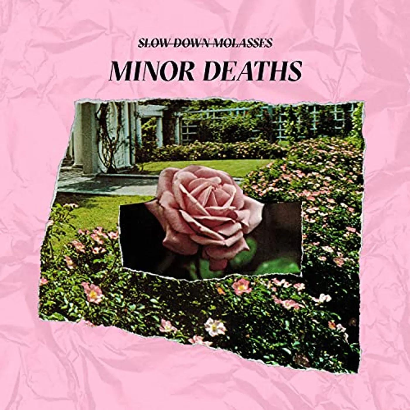Slow Down, Molasses Minor Deaths Vinyl Record