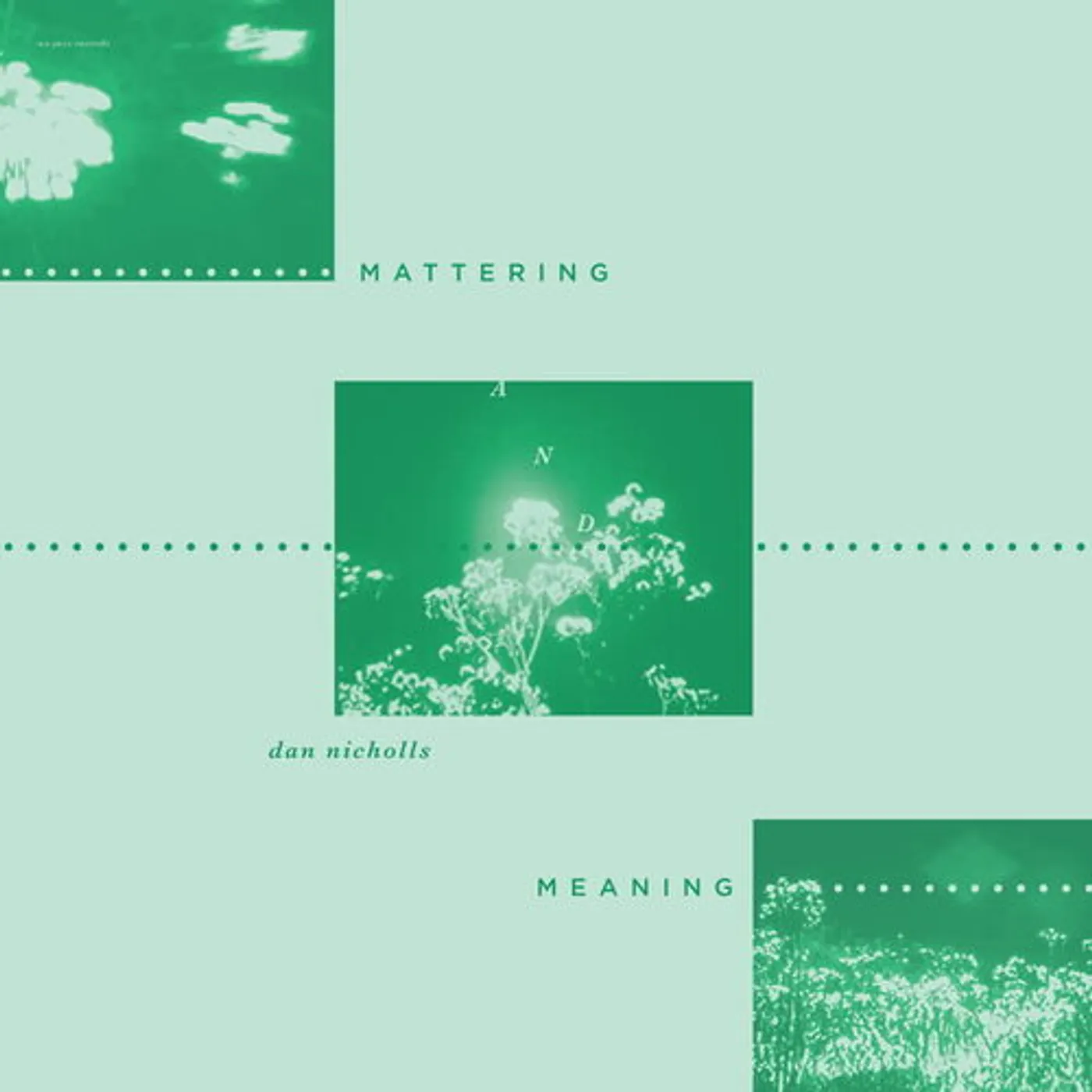 Dan Nicholls Mattering and Meaning Vinyl Record