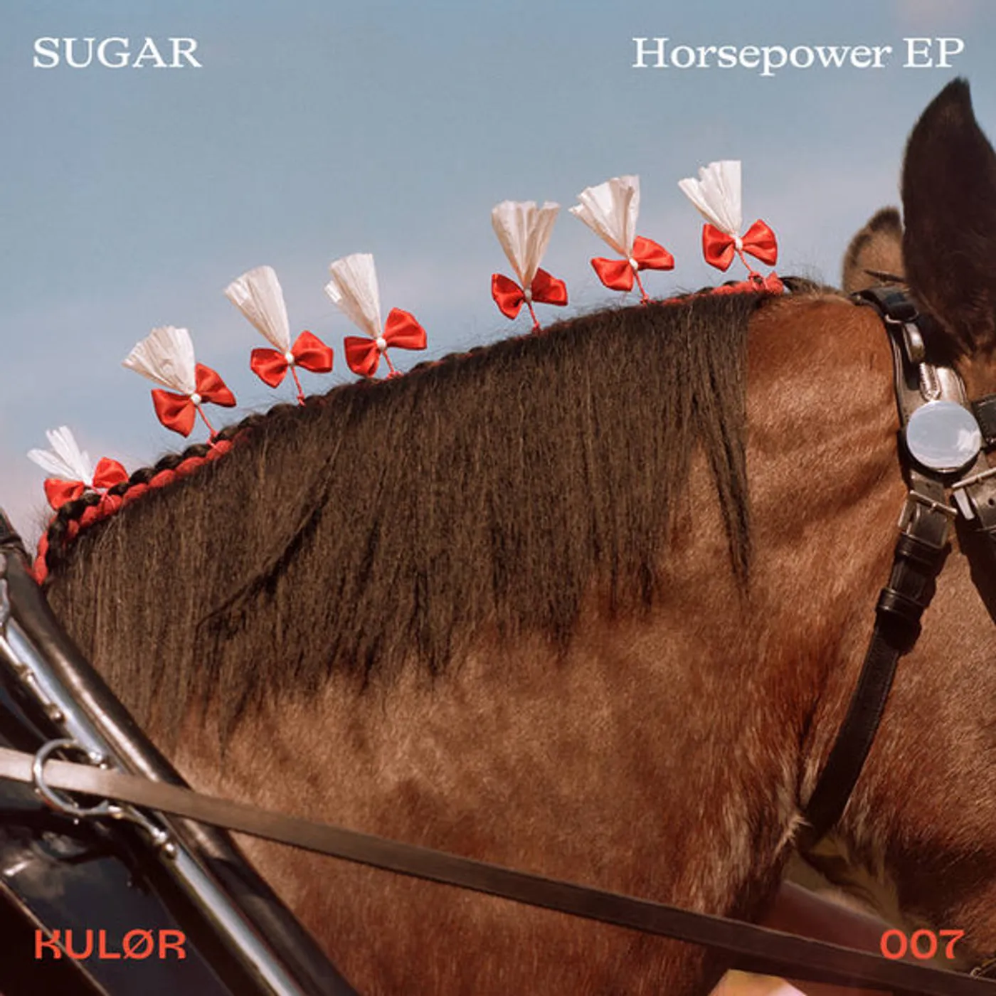 Sugar Horsepower Vinyl Record