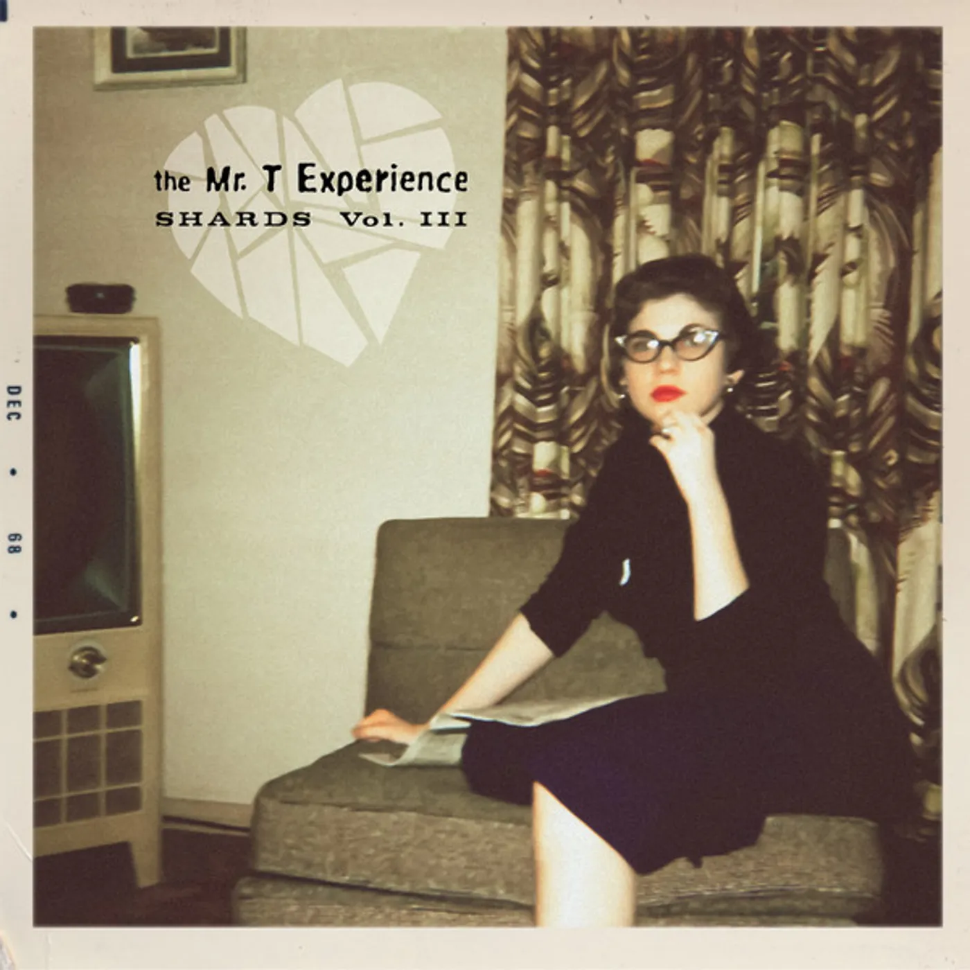The Mr. T Experience SHARDS VOL. 3 Vinyl Record