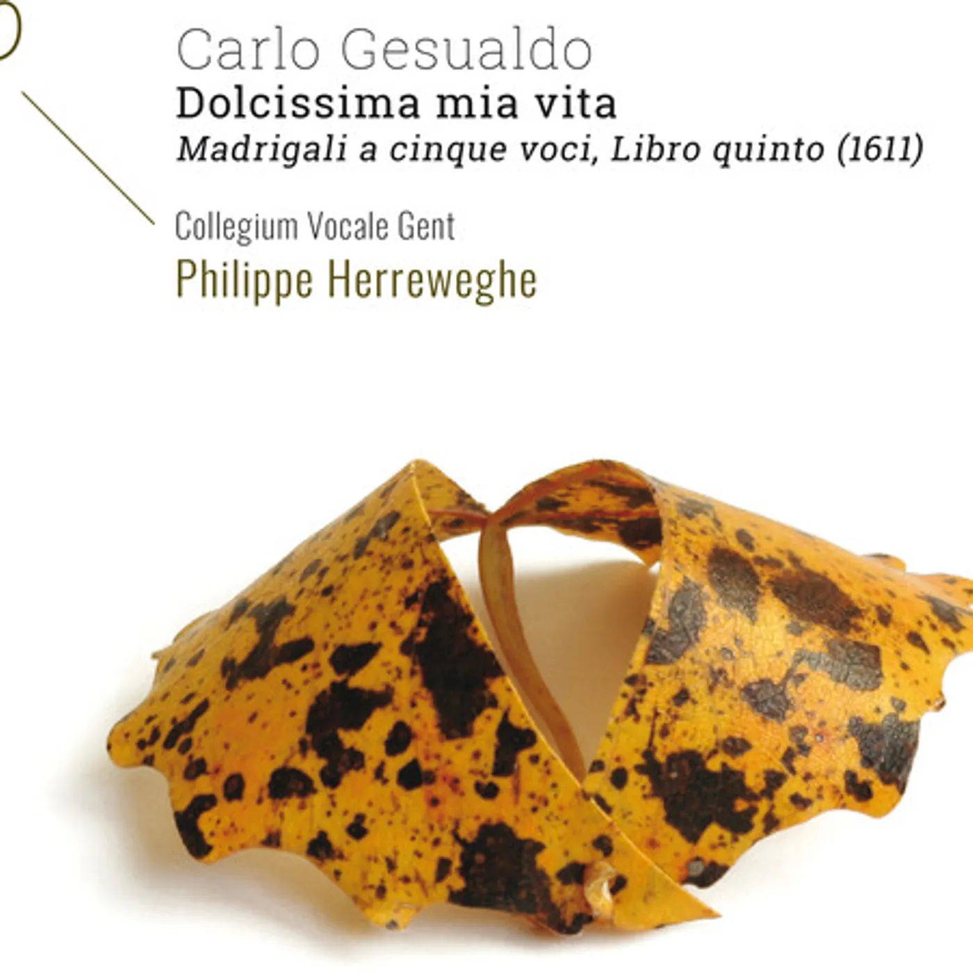 Gesualdo / Collegium Vocale Gent / Herreweghe DOLCISSIMA MIA VITA CD