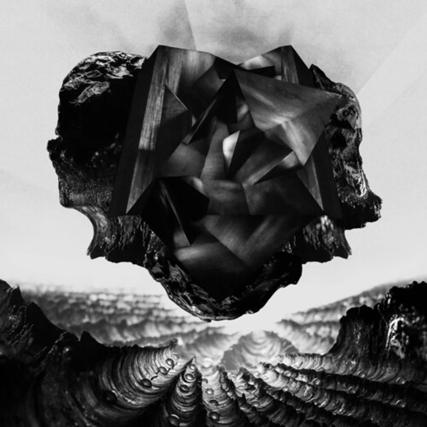 Farer Monad Vinyl Record