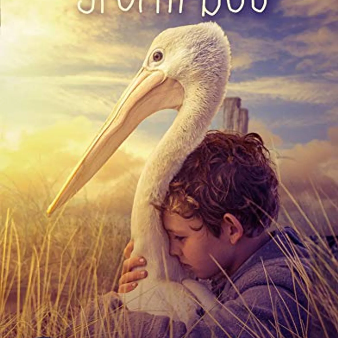 STORM BOY DVD