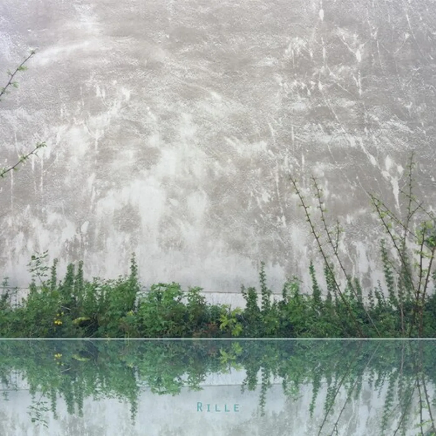 Liz Allbee RILLE CD