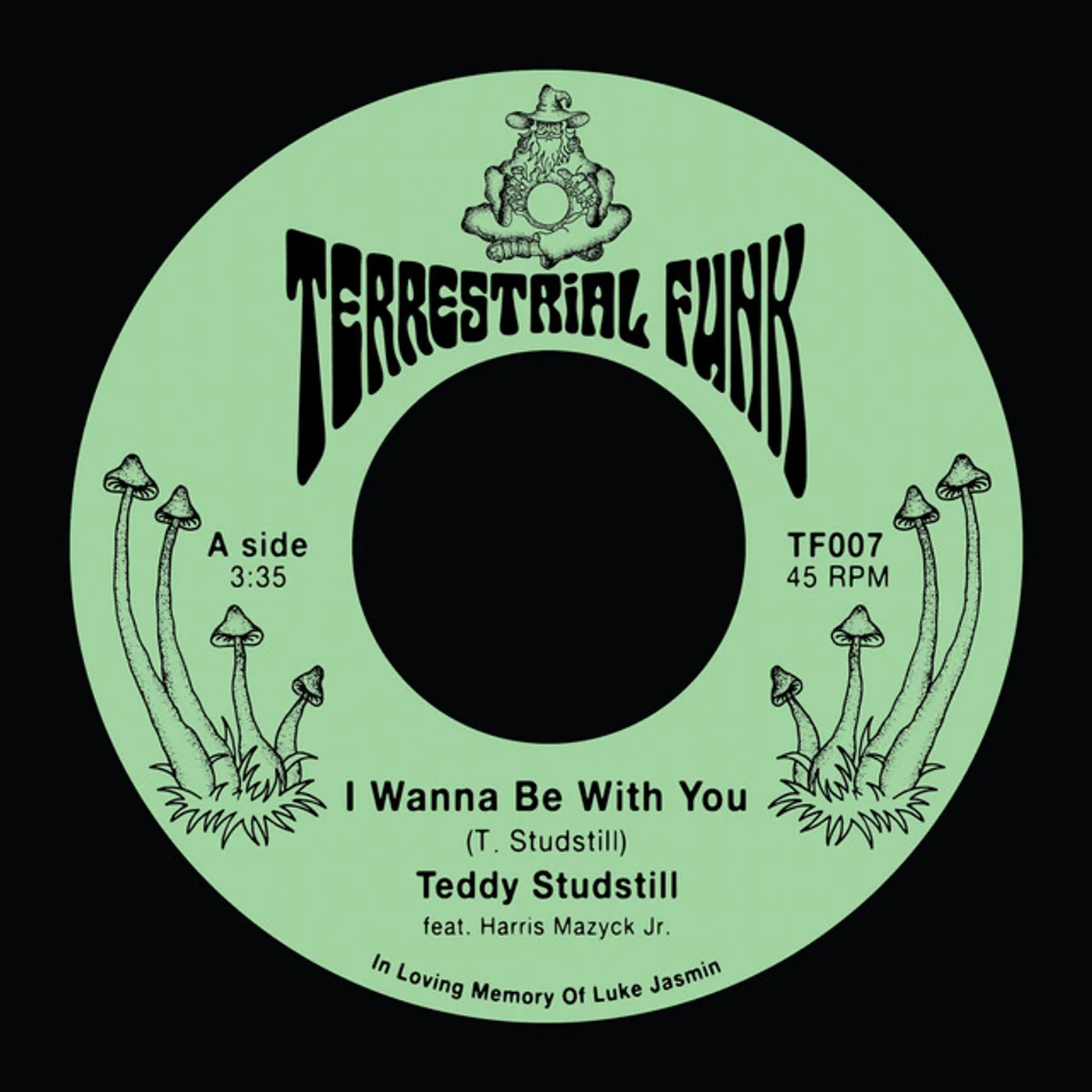 Teddy Studstill I Wanna Be With You / There Comes a Time Vinyl Record