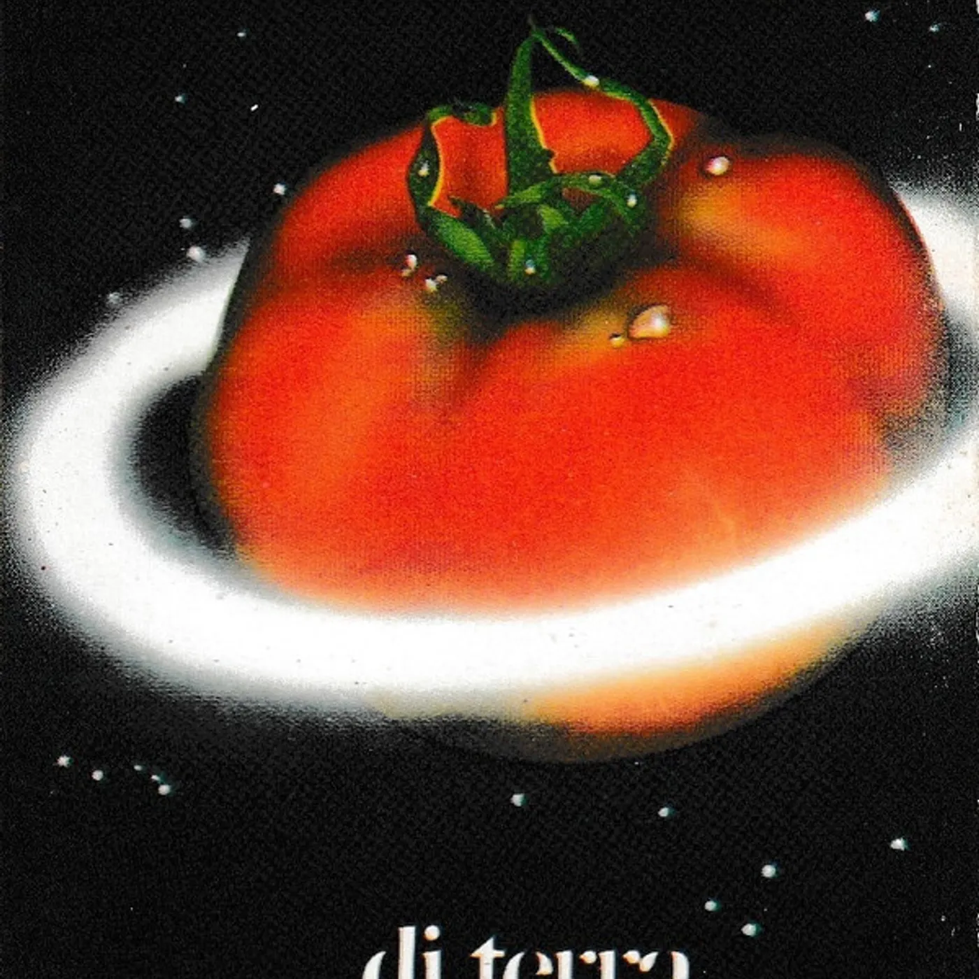 Banco Del Mutuo Soccorso DI TERRA Vinyl Record