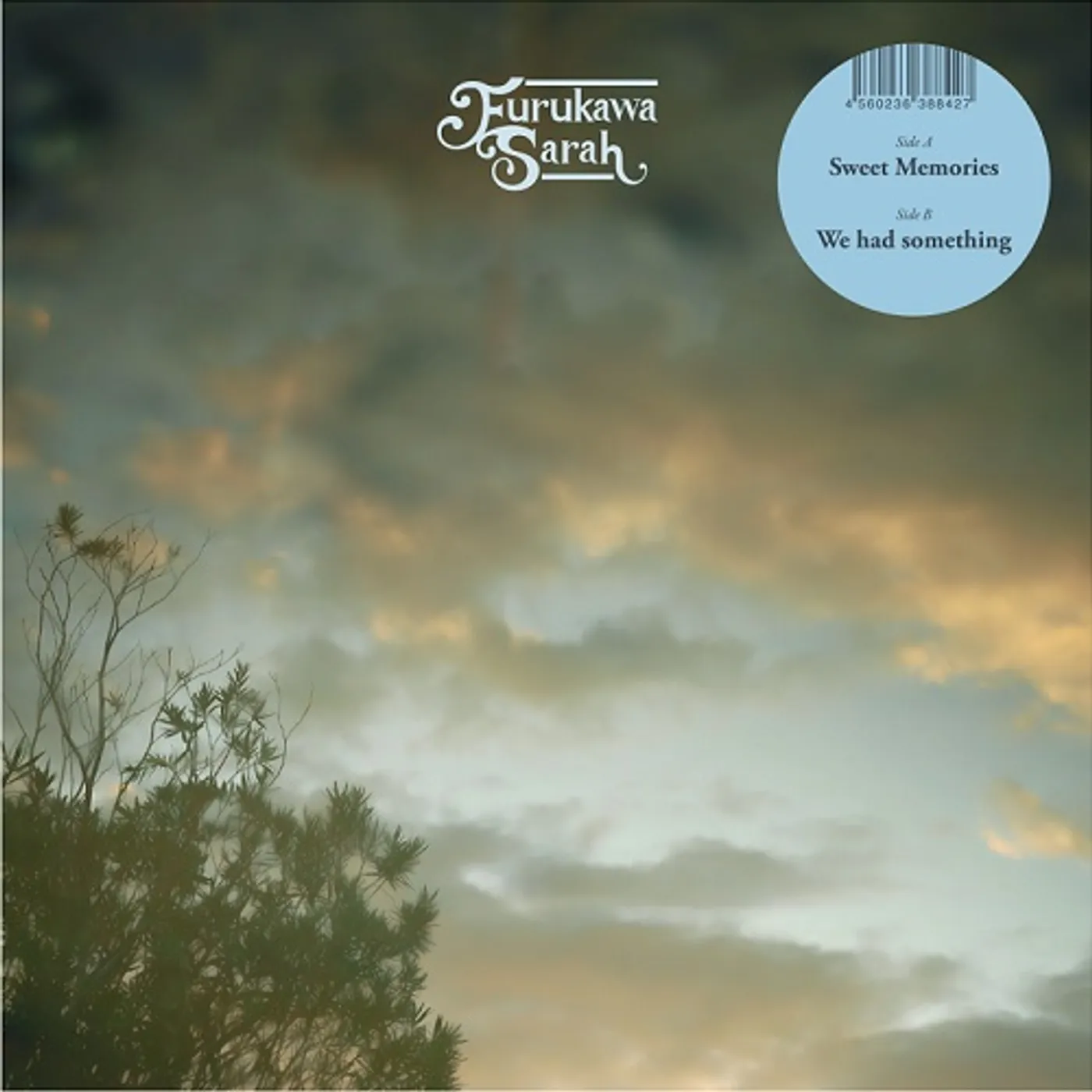 Furukawa Sarah SWEET MEMORIES / WE HAD SOMETHING Vinyl Record