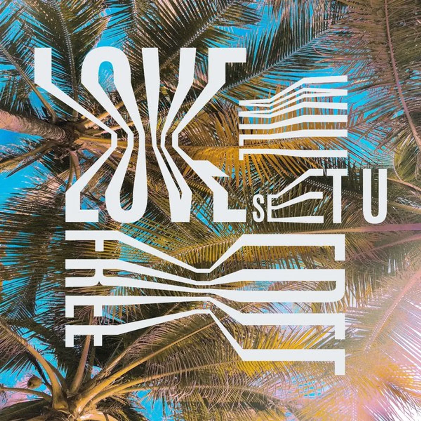 Monkey Safari Love Will Set U Free Vinyl Record