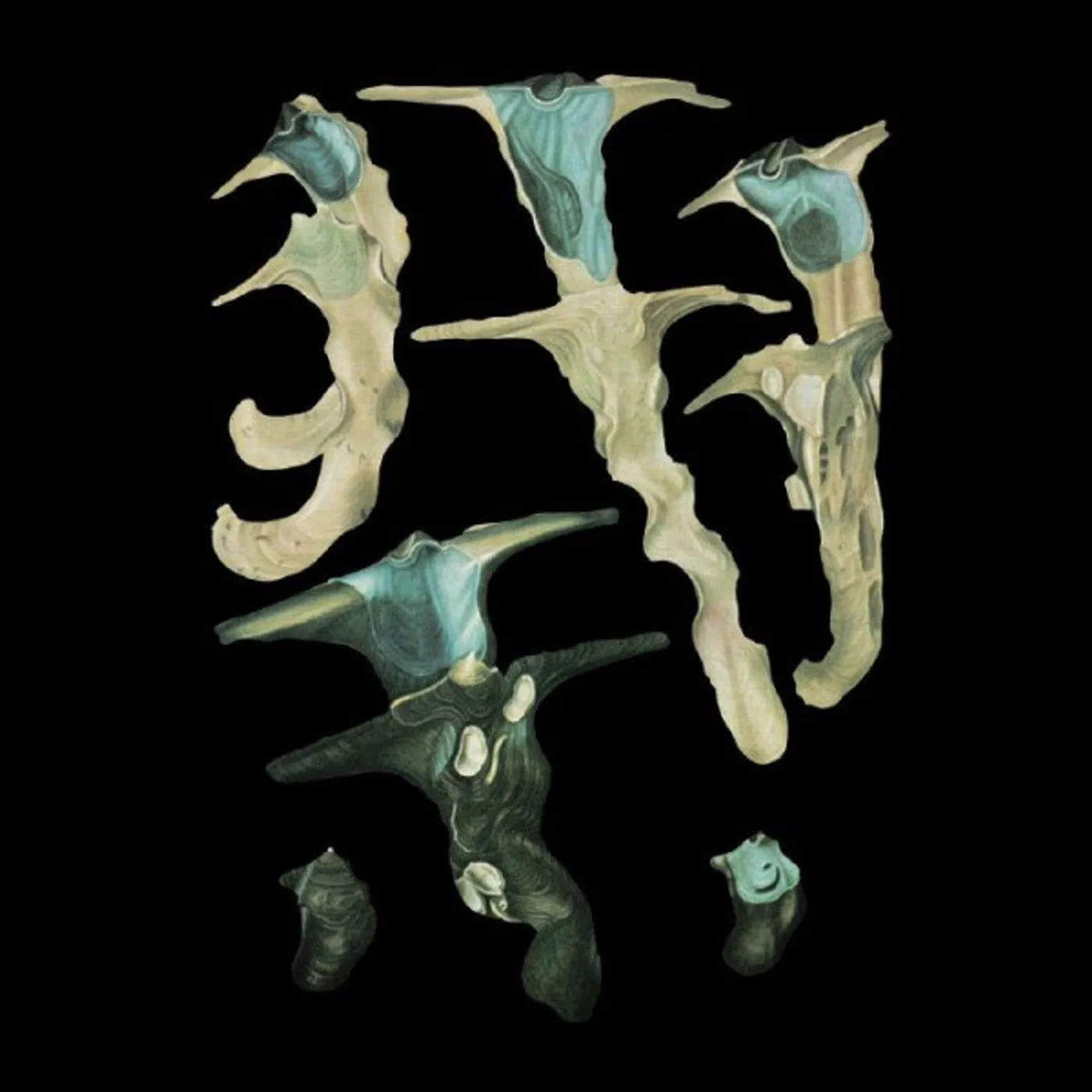 Rainforest Spiritual Enslavement Jellyfish Reproduce Black Magic Vinyl Record