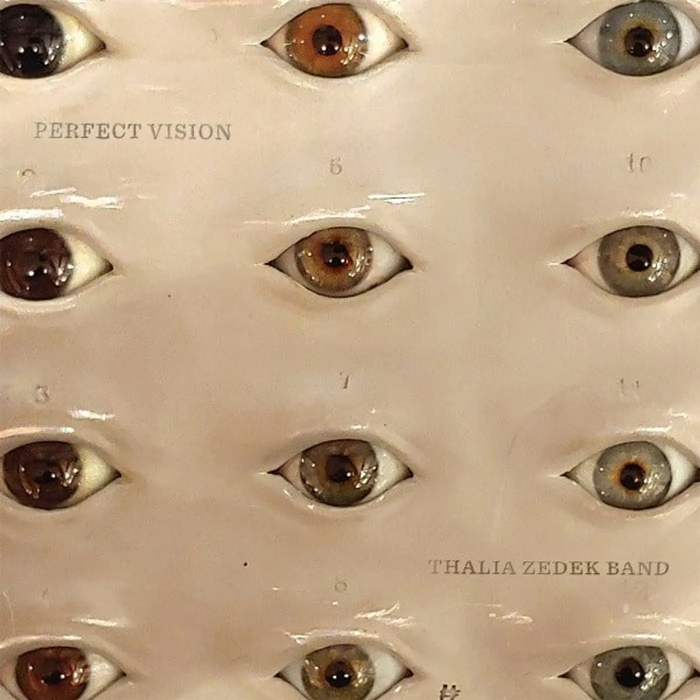 Thalia Zedek Band Perfect Vision Vinyl Record