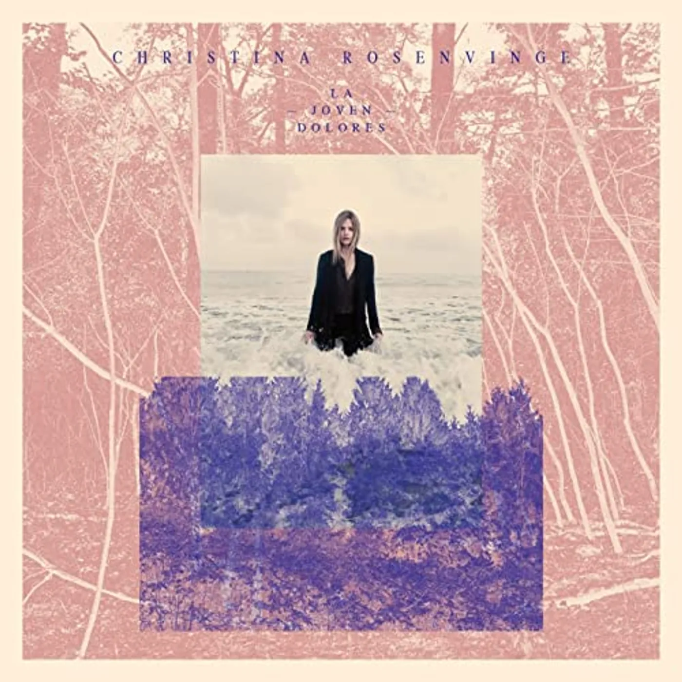 Christina Rosenvinge La joven Dolores Vinyl Record