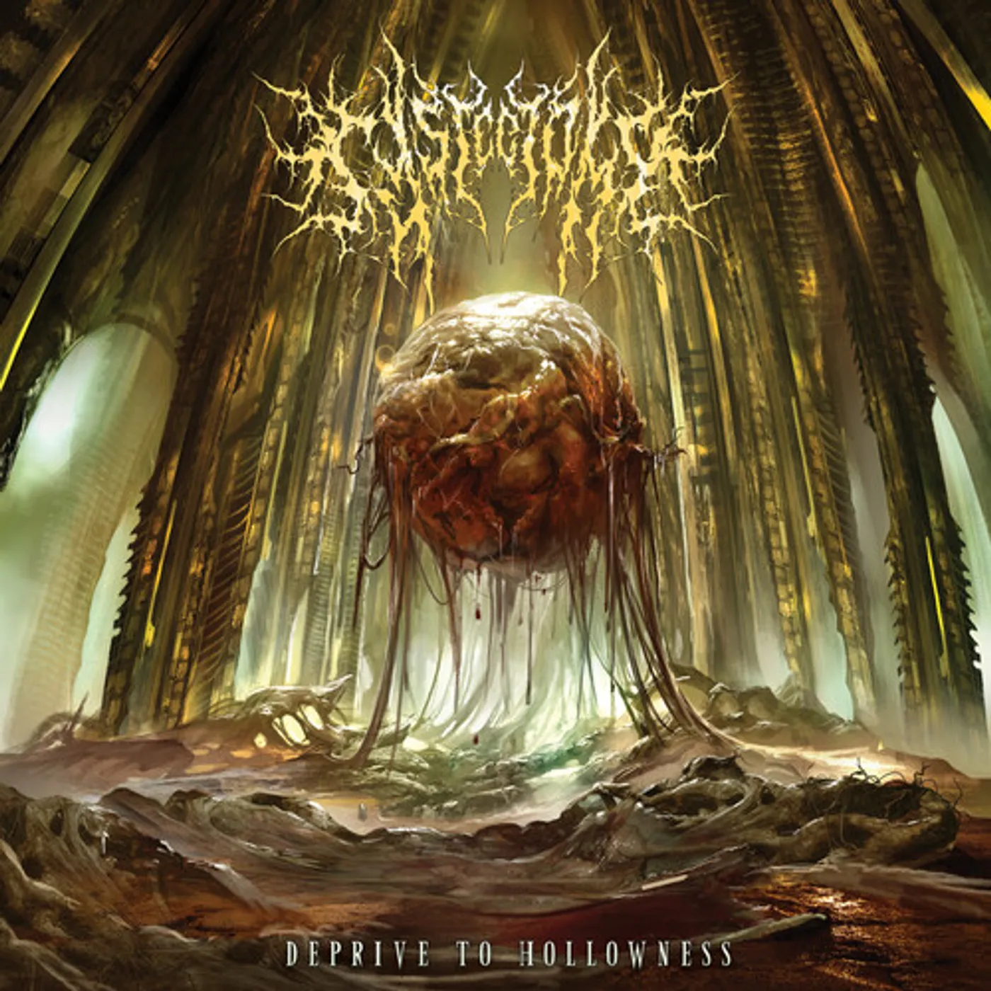 Cystectomy DEPRIVE TO HOLLOWNESS CD