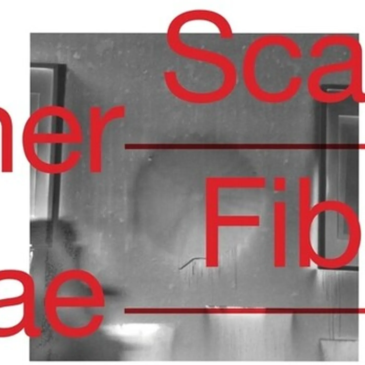 Scanner FIBOLAE CD