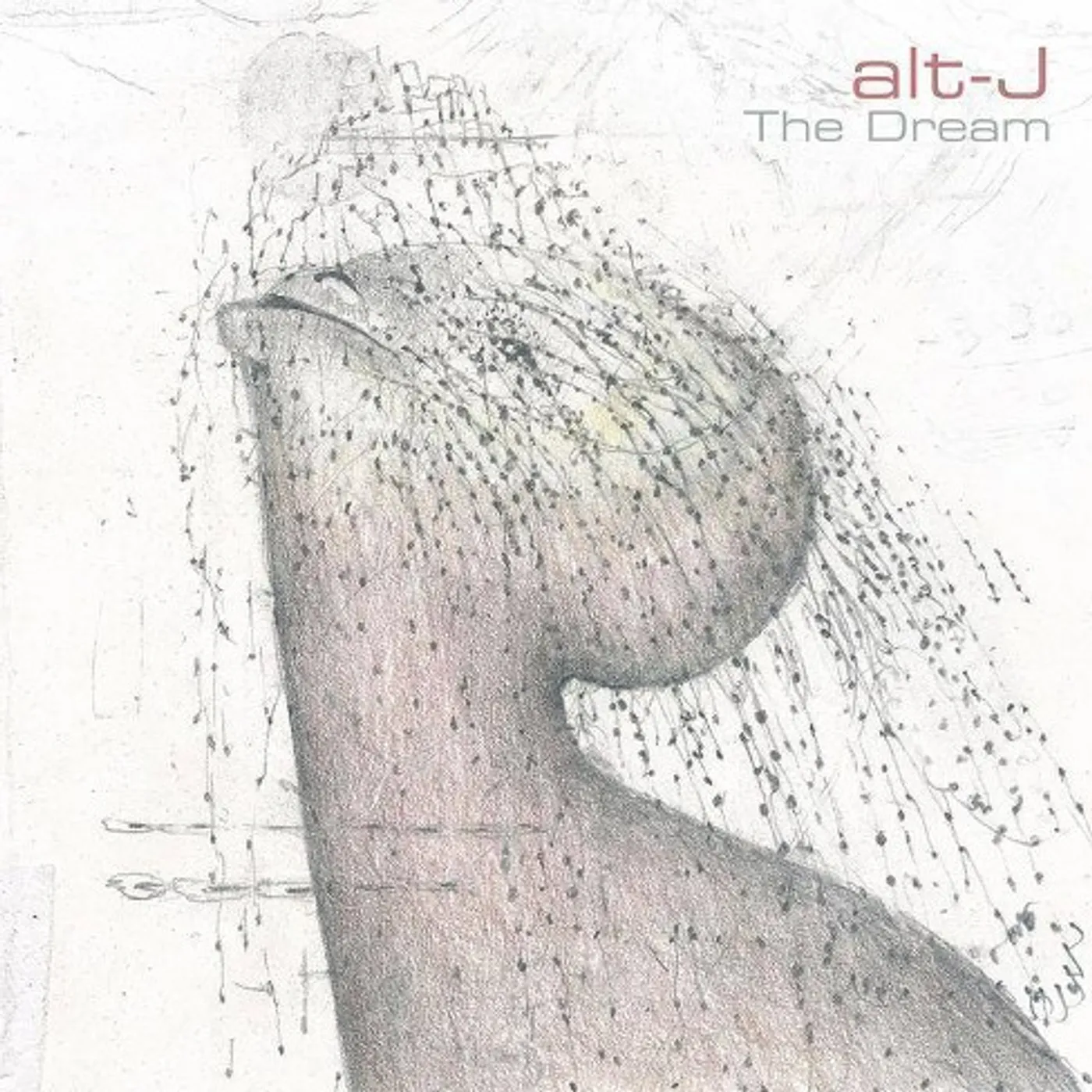 alt-J DREAM Vinyl Record