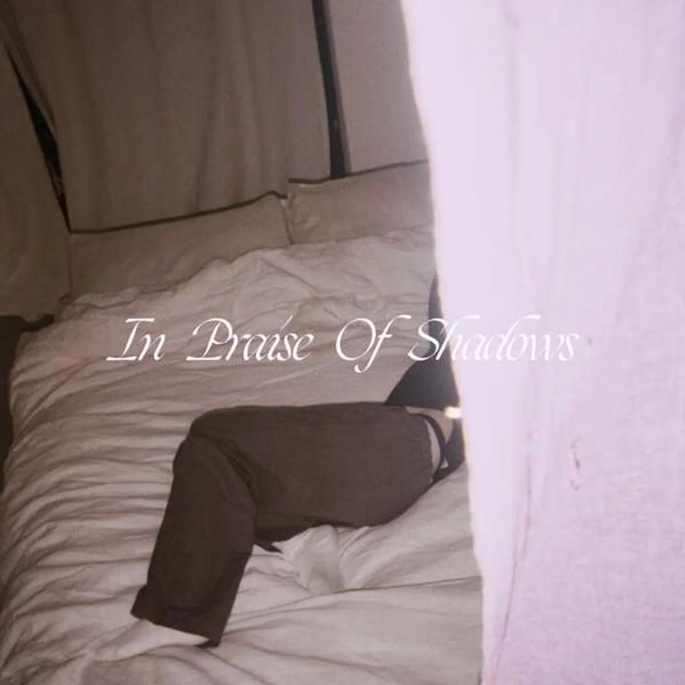 Puma Blue IN PRAISE OF SHADOWS (DELUXE) Vinyl Record