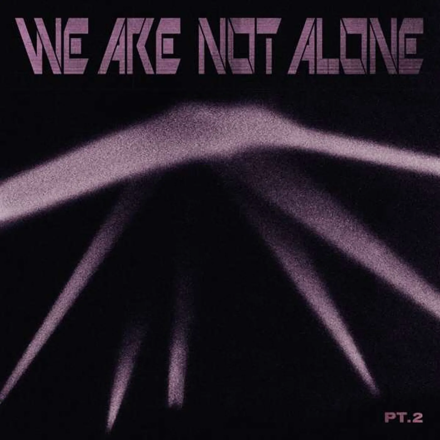 WE ARE NOT ALONE: PART 2 / VARIOUS Vinyl Record