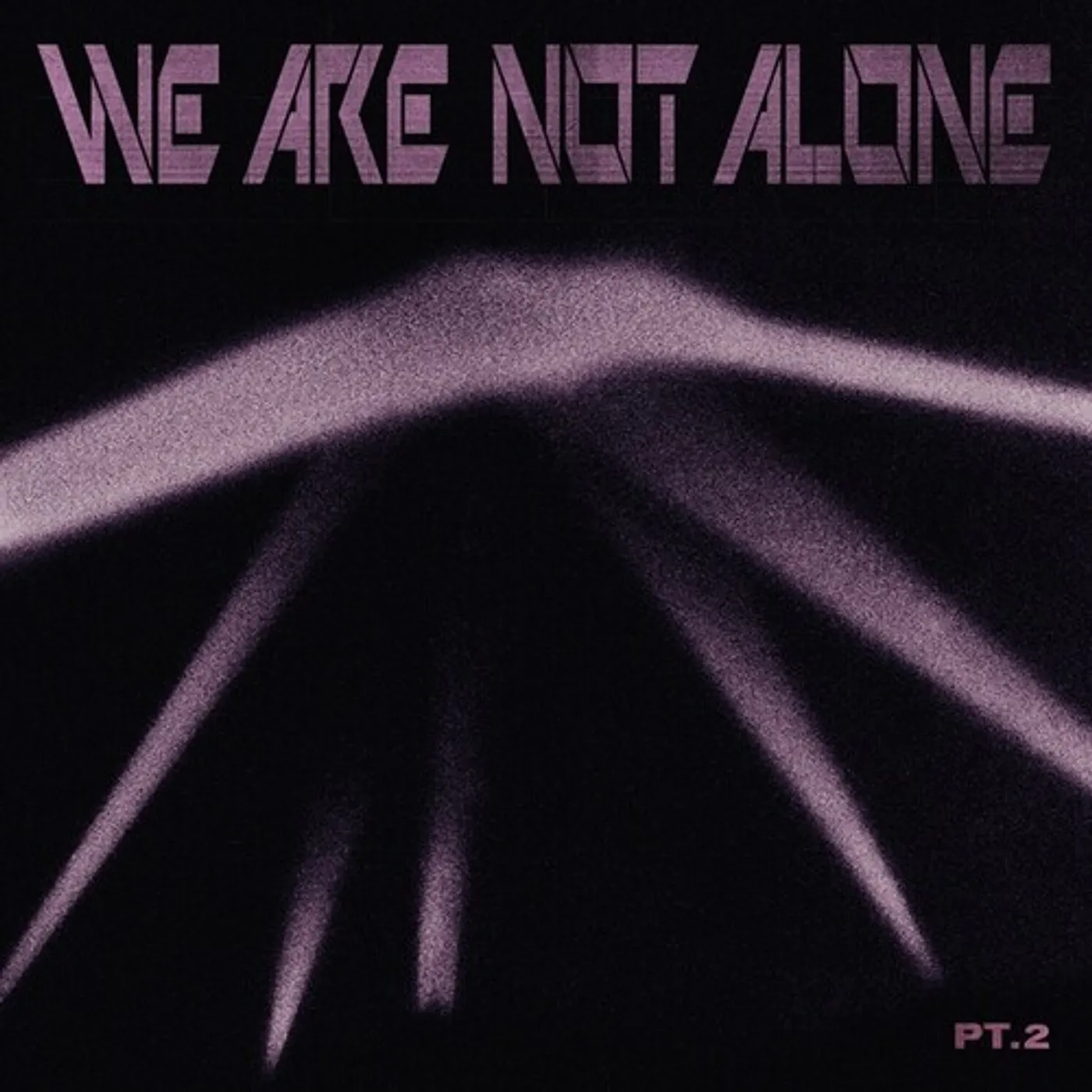 WE ARE NOT ALONE: PART 2 / VARIOUS Vinyl Record