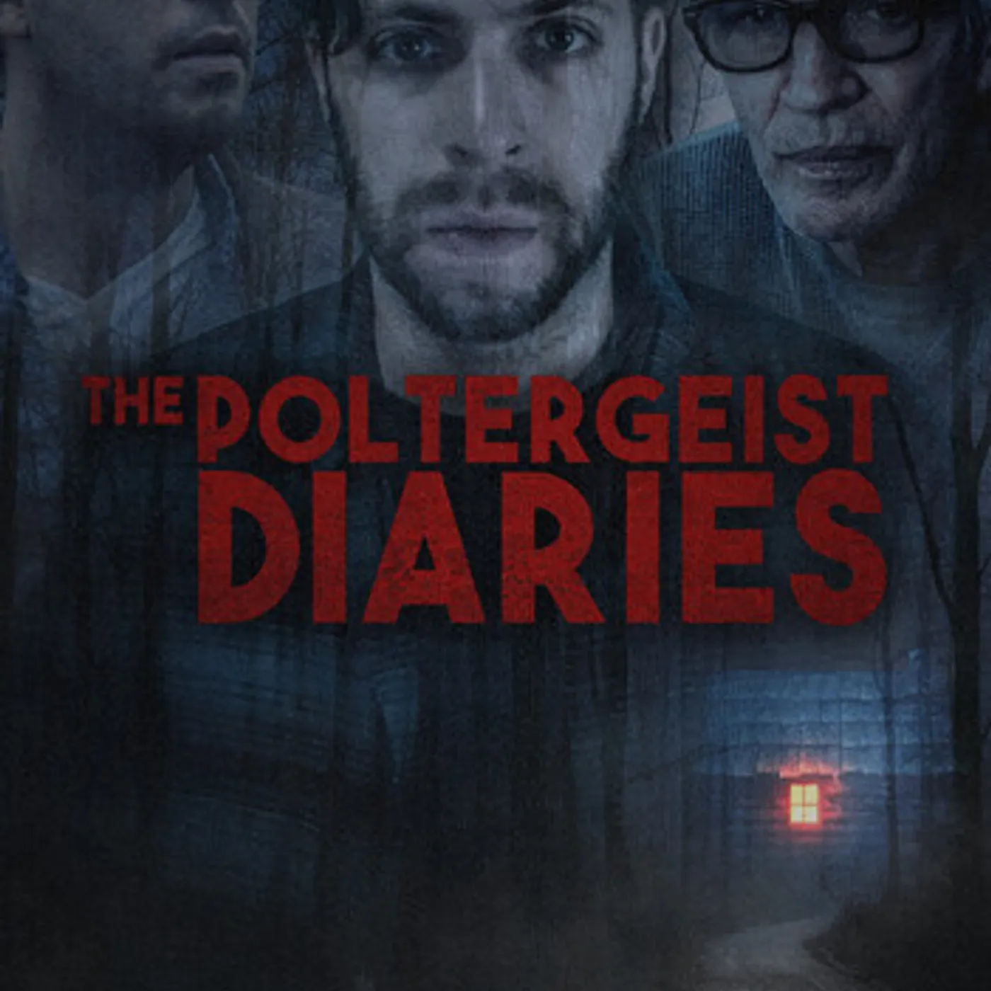 POLTERGEIST DIARIES DVD