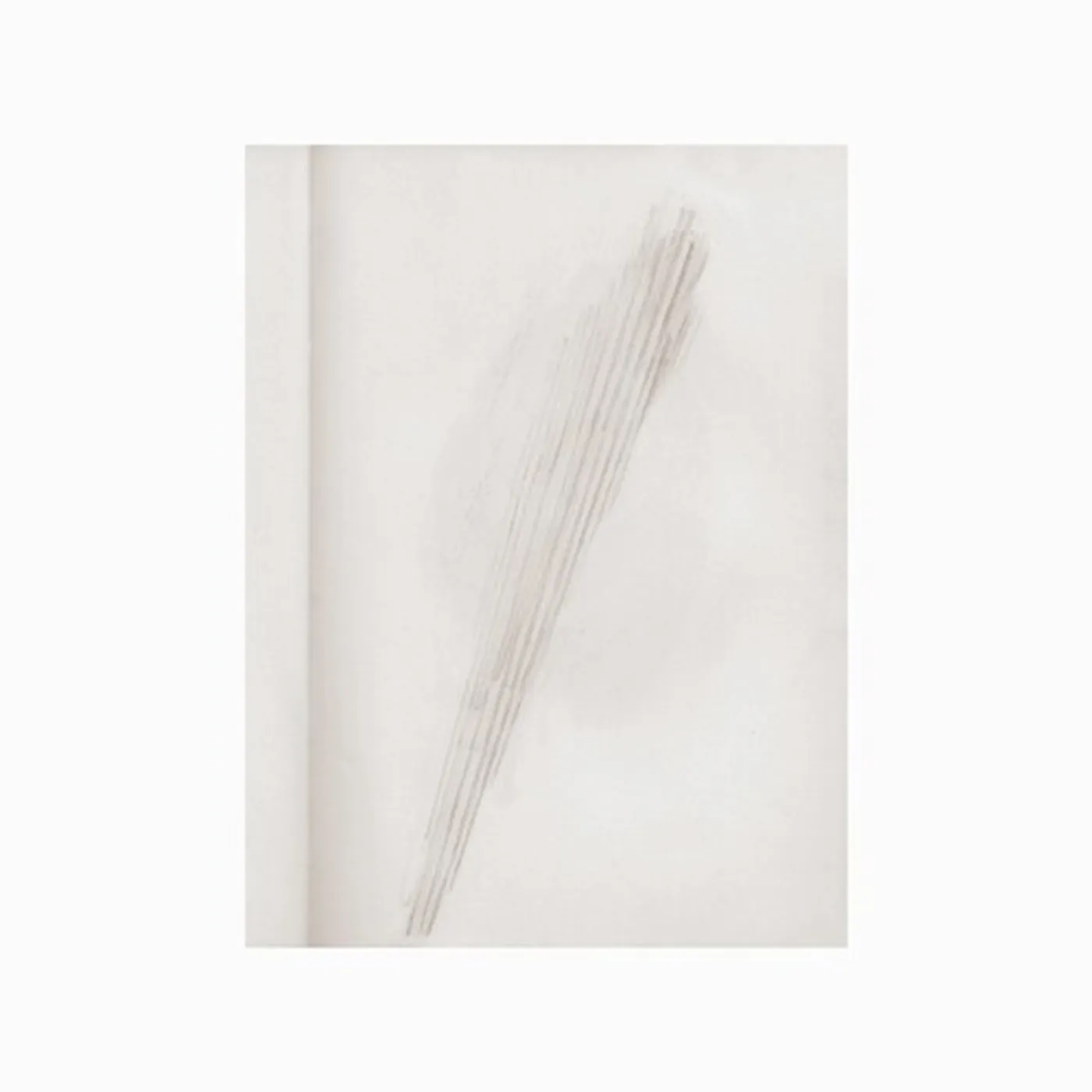 Lawrence English MIRROR HOLDS THE SKY CD