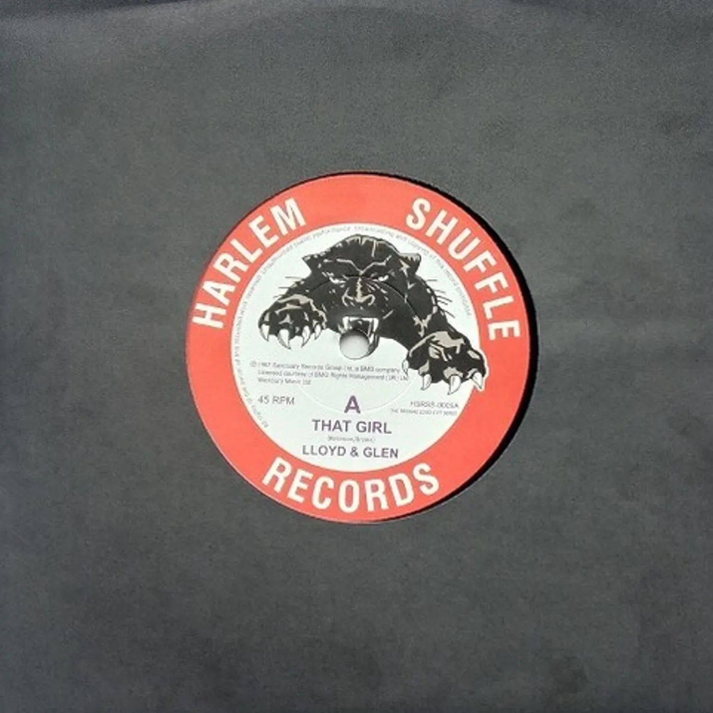 Lloyd & Glen That Girl / You Got Me Going Vinyl Record