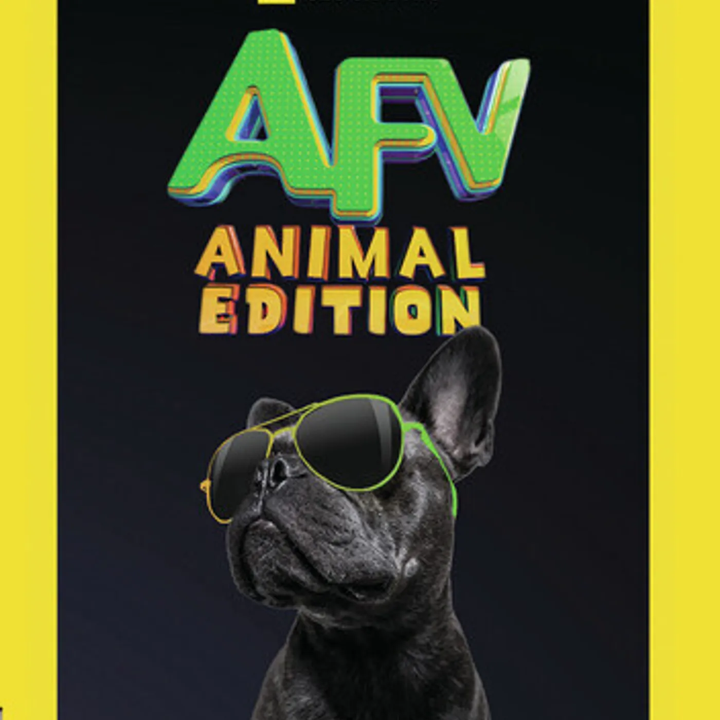 AMERICA'S FUNNIEST HOME VIDEOS: ANIMAL EDITION DVD