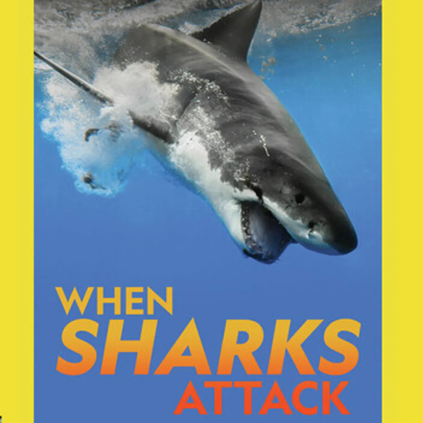 WHEN SHARKS ATTACK: SEASON 7 DVD