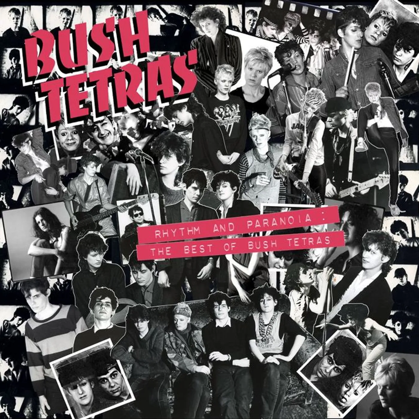 Rhythm and Paranoia: The Best of Bush Tetras Vinyl Record