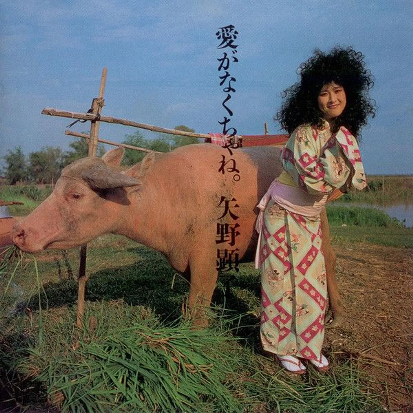 Akiko Yano AI GA NAKUCHA NE Vinyl Record