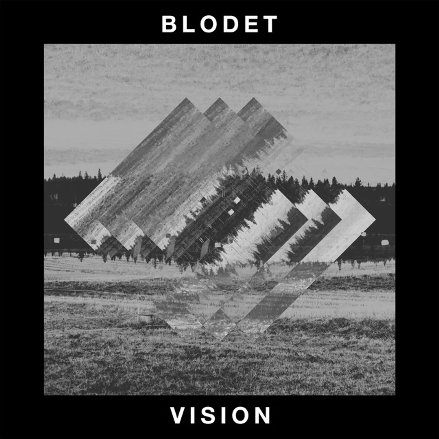 BLODET Vision Vinyl Record