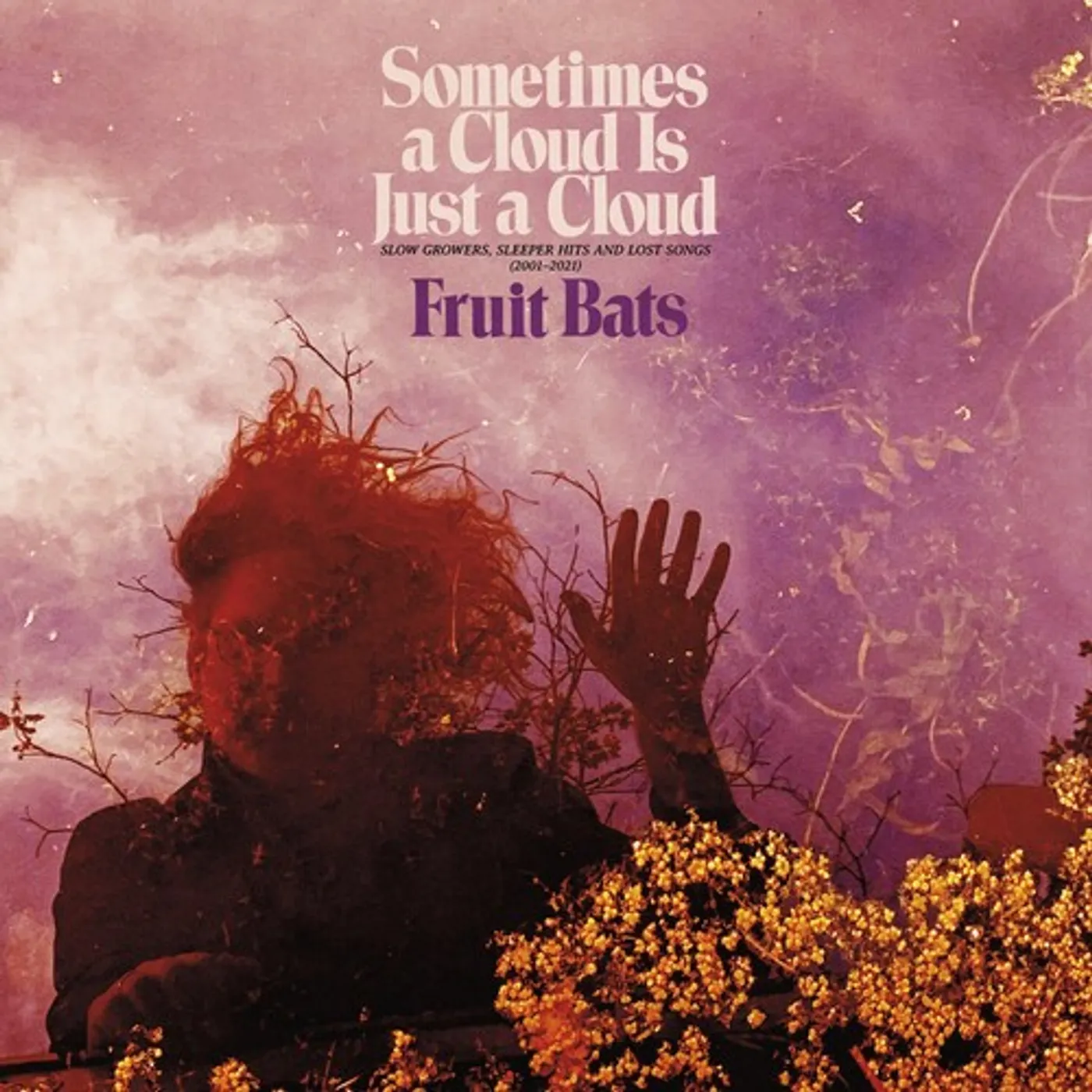 Fruit Bats SOMETIMES A CLOUD IS JUST A CLOUD: SLOW GROWERS Vinyl Record