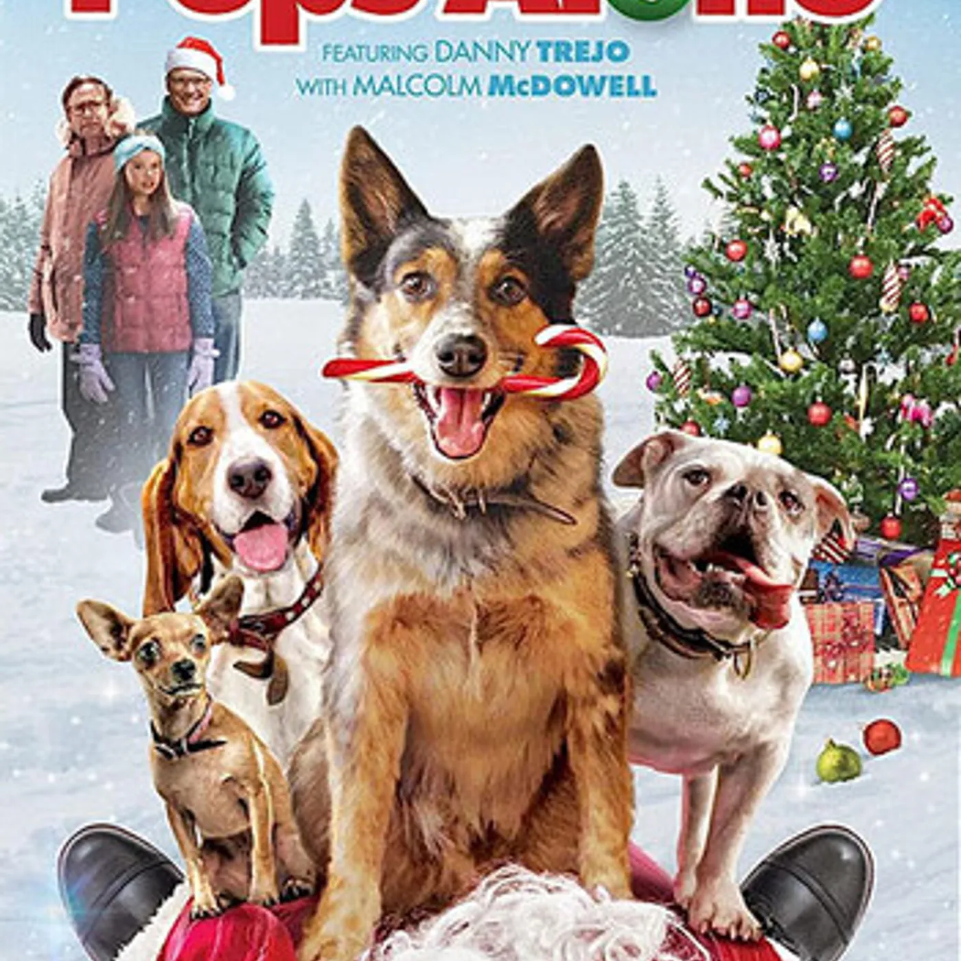 PUPS ALONE DVD