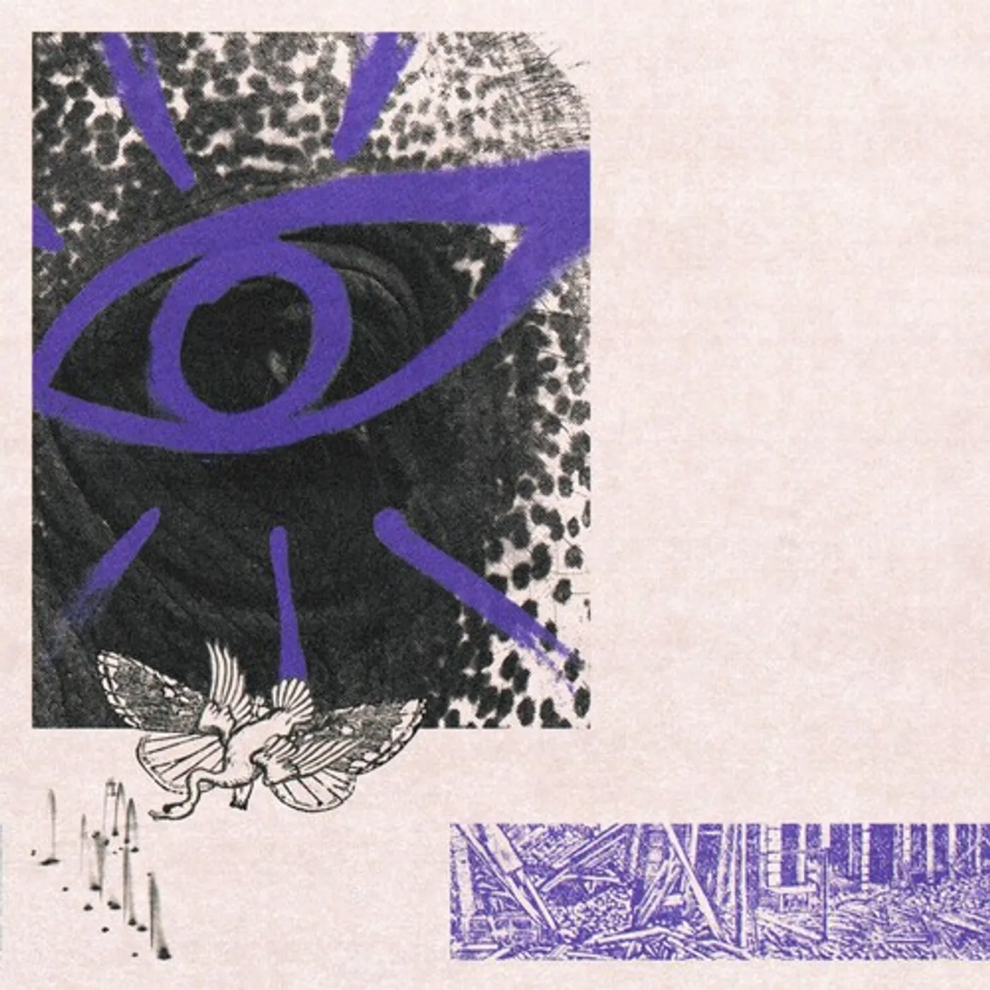 Hippo Campus LP3 CD