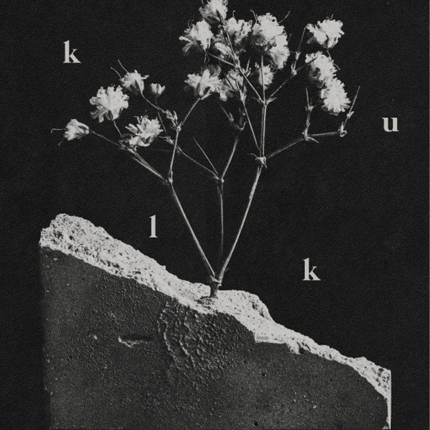 Kulk We Spare Nothing Vinyl Record